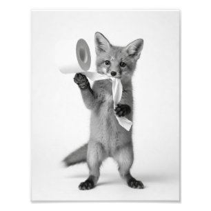 Lustiger Fuchs hält Toilettenpapier Minimalistisch Fotodruck