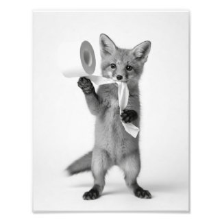 Lustiger Fuchs hält Toilettenpapier Minimalistisch Fotodruck