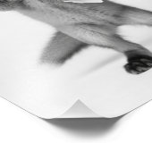 Lustiger Fuchs hält Toilettenpapier Minimalistisch Fotodruck (Ecke)