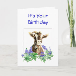 Lustiger Geburtstag, Blumen von alter Ziegenhumor Karte