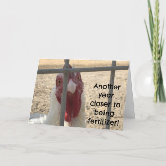 Lustiger Geburtstag für Erwachsene Karte