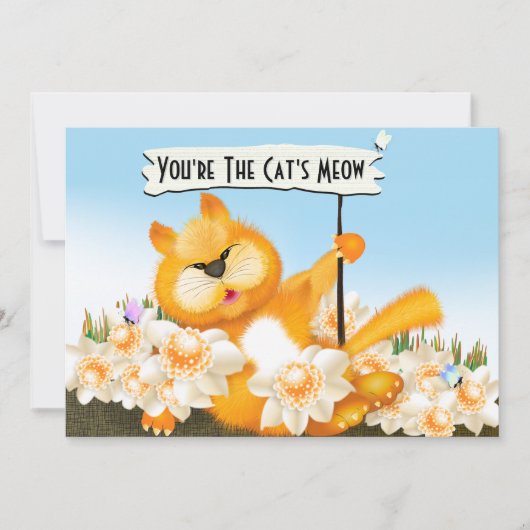Lustiger Geburtstag Katzen-Miauen (Vorderseite)