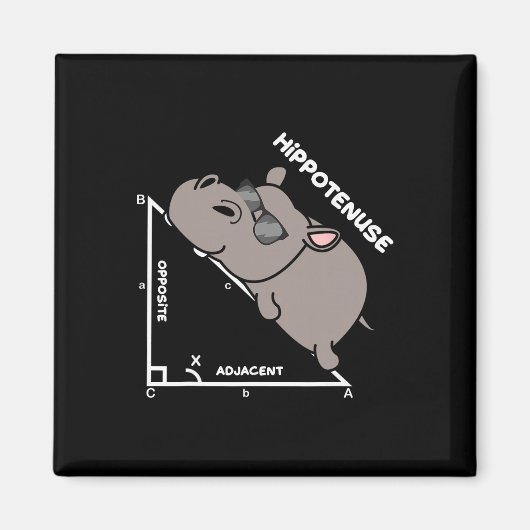 Lustiger Geometrie-Hypotenuse-Mathematik-Lehrer Magnet (Vorne)