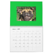 Lustiger Gesichts-Kalender Kalender (Mär 2027)
