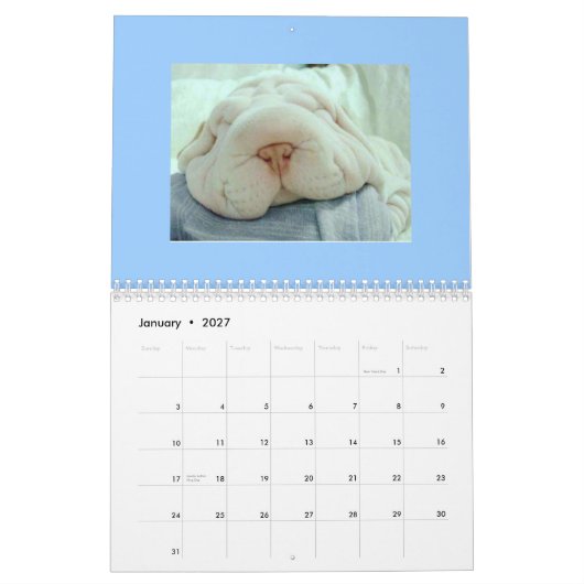 Lustiger Gesichts-Kalender Kalender (Jan 2027)