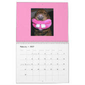 Lustiger Gesichts-Kalender Kalender (Feb 2027)