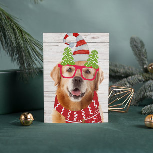 Lustiger Golden Retriever Weihnachtsbrille Hut Sch Feiertagskarte