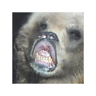 Lustiger Grizzlybär CUB, welches das Glasfenster Leinwanddruck
