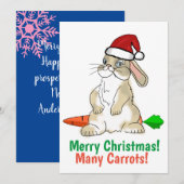 Lustiger Hase Frohe Weihnachten (Vorne/Hinten)