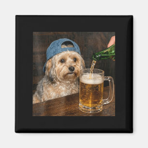 Lustiger Havanese-Hund trinkt Bier Meme Magnet