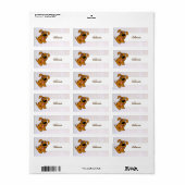 Lustiger Hund Adressaufkleber (Vorne)