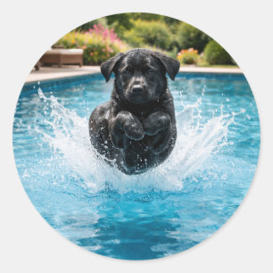 Lustiger Hund Canonball Sommer-Poolparty Runder Aufkleber