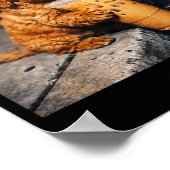 Lustiger Hund Goldendoodle trinkt Eiskaffee Tier Poster (Ecke)