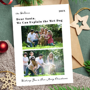 Lustiger Hund Haustier Foto Familie Weihnachten