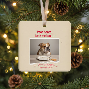 Lustiger Hund Haustier Foto Weihnachten Urlaub Keramikornament