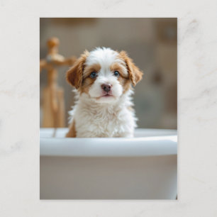 Lustiger Hund im Badezimmer Postkarte