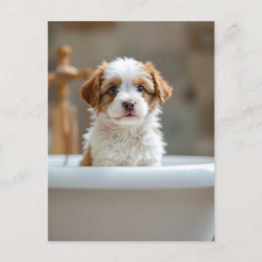 Lustiger Hund im Badezimmer Postkarte (Vorderseite)