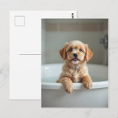 Lustiger Hund im Badezimmer Postkarte (Vorne/Hinten)