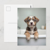 Lustiger Hund im Badezimmer Postkarte (Vorne/Hinten)