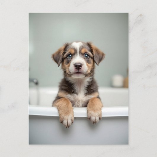 Lustiger Hund im Badezimmer Postkarte (Vorderseite)