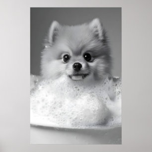 Lustiger Hund im Schaumbad-Druck, Pomeranian Poster