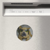 Lustiger Hund Magnet (In Situ (Geschirrspüler))