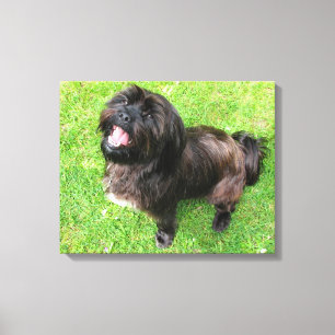 Lustiger Hund mit Haltung! Leinwanddruck