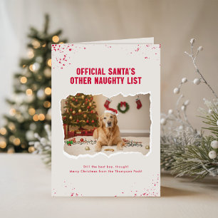 Lustiger Hund mit Weihnachtsmannmütze Foto Haustie Karte