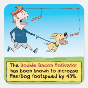 Lustiger Hund und Mann, die Speck jagt Quadratischer Aufkleber