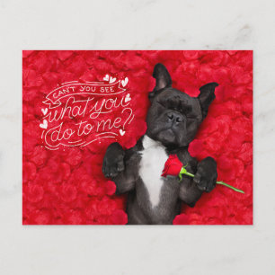Lustiger Hund und rote Rosen Frohen Valentinstag Feiertagspostkarte