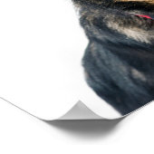 Lustiger Hund Welpe Poster (Ecke)