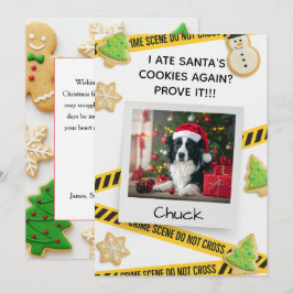 Lustiger Hunde-Weihnachtsgruß mit Tatortmotiv Dankeskarte