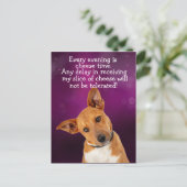 Lustiger Hundegedanke Postkarte (Stehend Vorderseite)