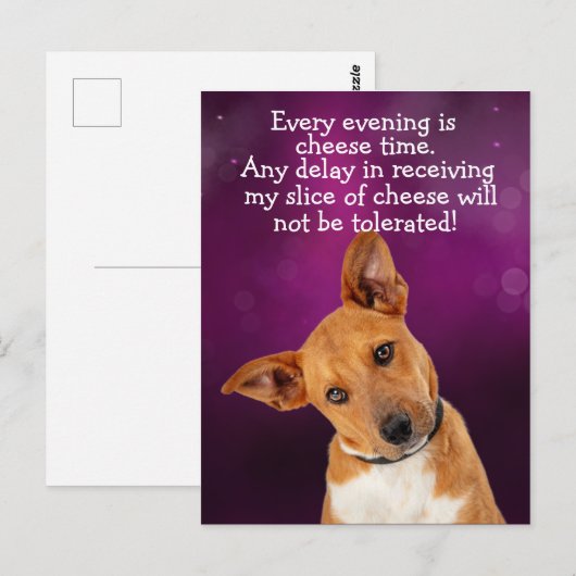 Lustiger Hundegedanke Postkarte (Vorne/Hinten)