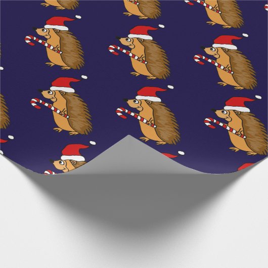 Lustiger Igel in der Geschenkpapier (Ecke)