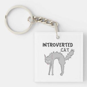 Lustiger introvertierter Katzenanhänger Geschenk Schlüsselanhänger