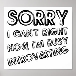 Lustiger Introvertierter Poster