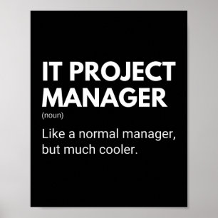 Lustiger IT-Projektmanager-Spruch für Manager Poster