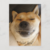 lustiger japanischer Akita-Typ mit niedlichem Läch Postkarte (Vorderseite)