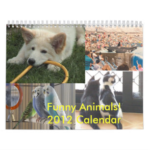 Lustiger Kalender der Tier-2012