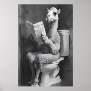 Lustiger Kamel-Badezimmerdruck, Zeitungs-Toilette Poster