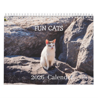 Lustiger Katzen-Foto-Kalender – Schnurrhaare und C Kalender