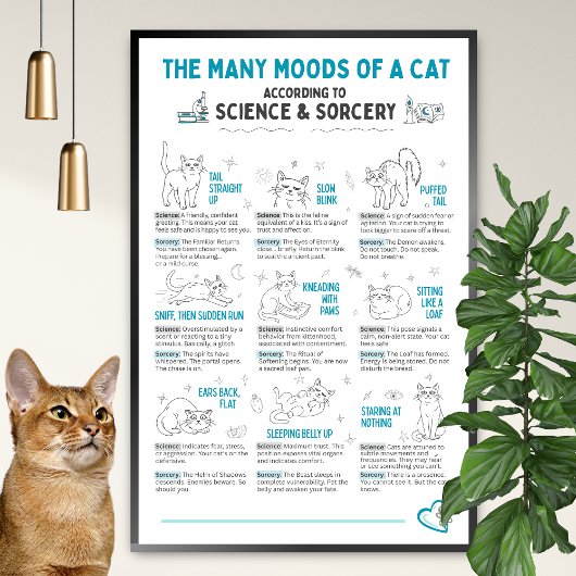 Lustiger Katzen-Körpersprachenposter – Feline-Stim Poster