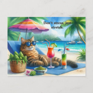 Lustiger Katzen-Slogan Kätzchen am Strand Postkarte
