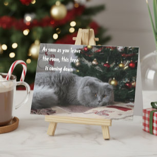 Lustiger Katzen-Weihnachtsbaum-Wütender Gruß Feiertagskarte