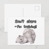 Lustiger Katzenaufkleber / Postkarte (Vorne/Hinten)