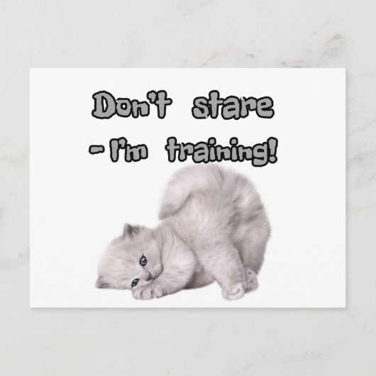 Lustiger Katzenaufkleber / Postkarte (Vorderseite)