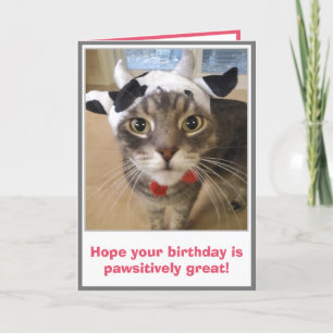 Lustiger Katzengeburtstag Karte