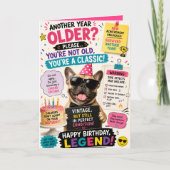 Lustiger Katzengeburtstag Karte (Vorderseite)