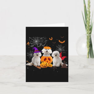 Lustiger Kürbis Hexe Bichon Frise Hund Halloween Karte
